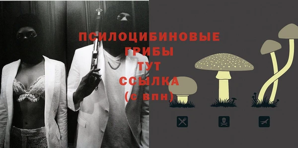 прущие грибы Белоозёрский