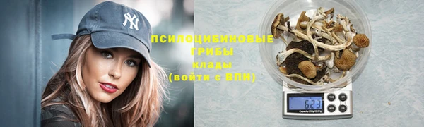 амф Беломорск