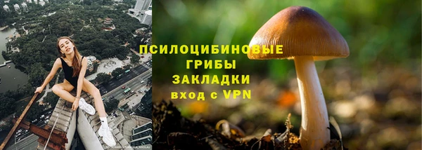 прущие грибы Белоозёрский