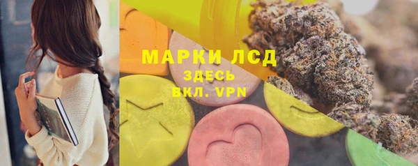 прущие грибы Белоозёрский